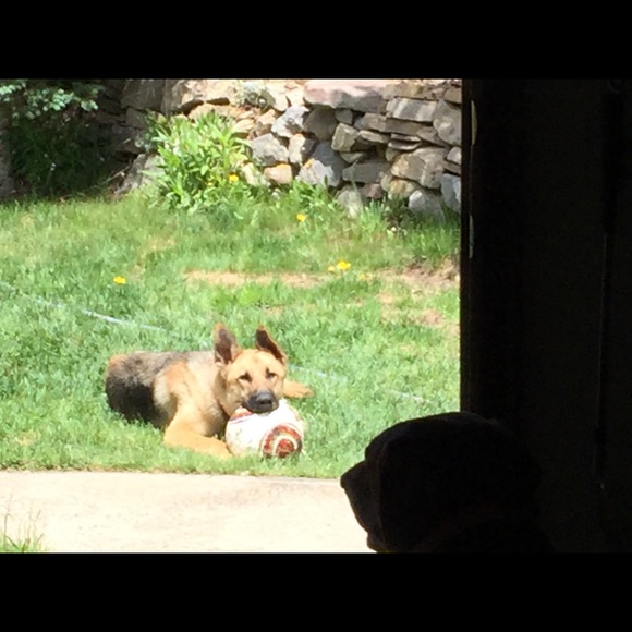 Meet your Posher, KP.  Posh Ambassador - Picture 6 of 9